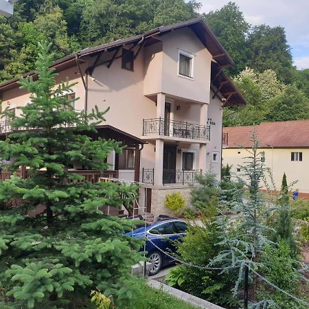 Vila Tisa Тісмана Екстер'єр фото
