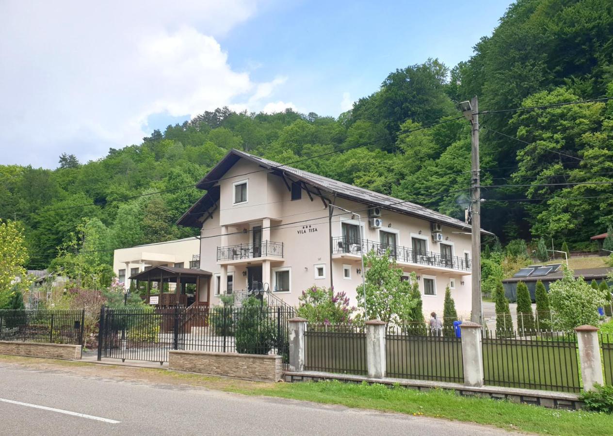 Vila Tisa Тісмана Екстер'єр фото