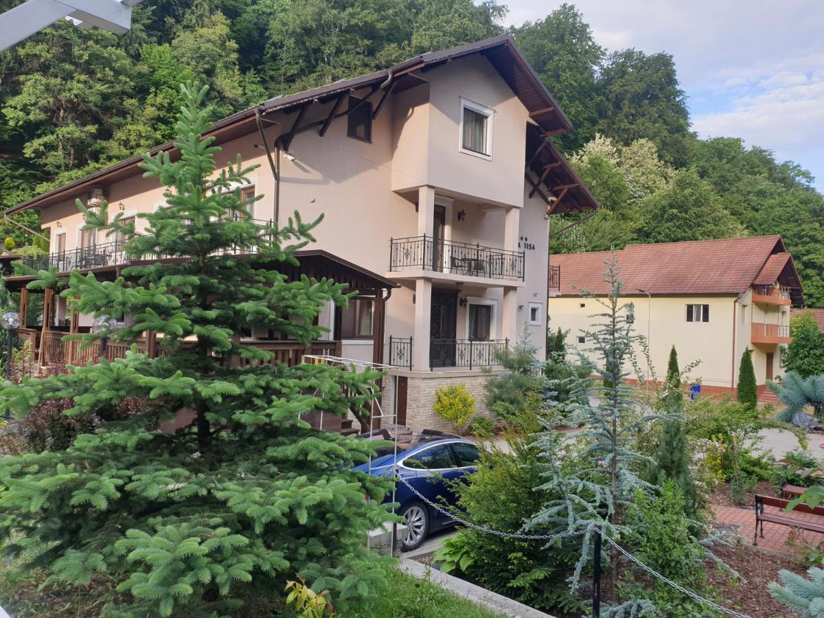 Vila Tisa Тісмана Екстер'єр фото